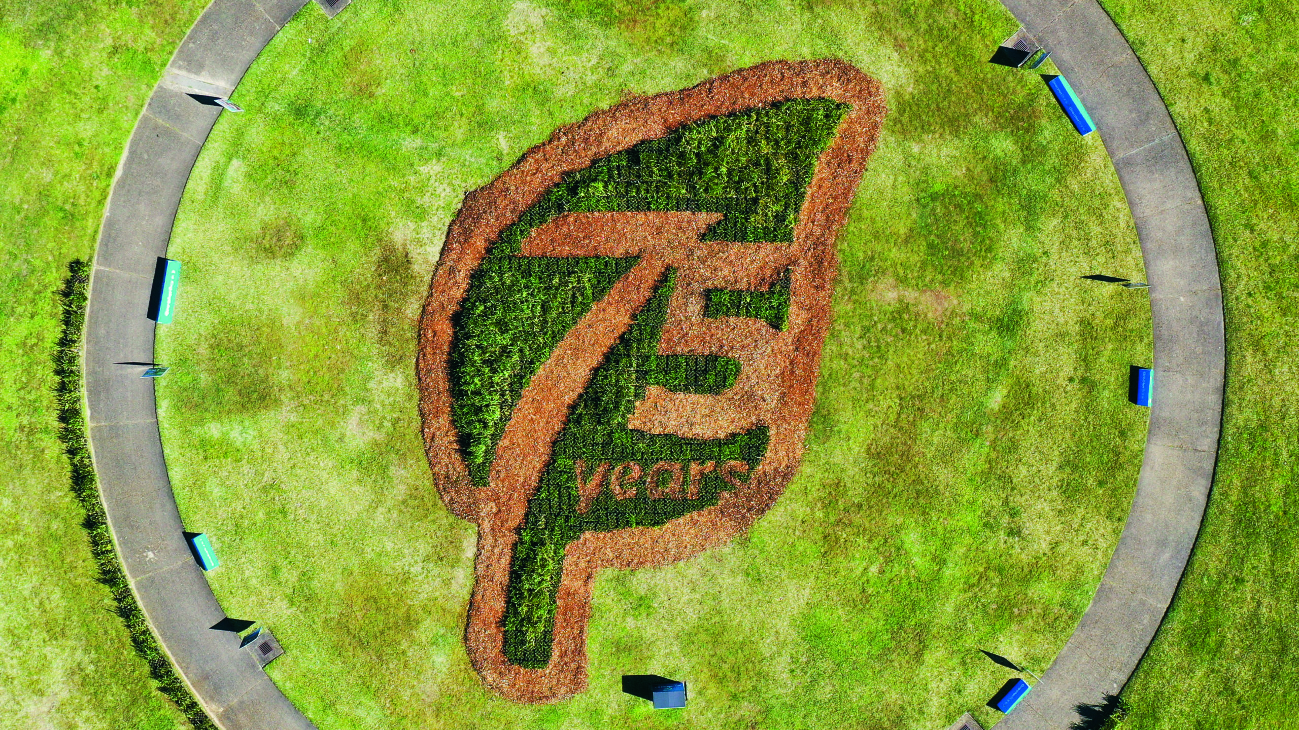 75 years park logo