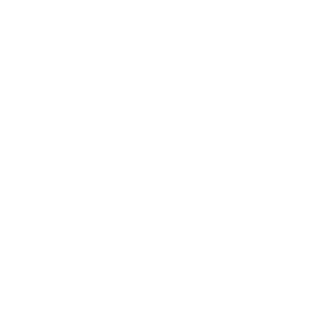 animated globe