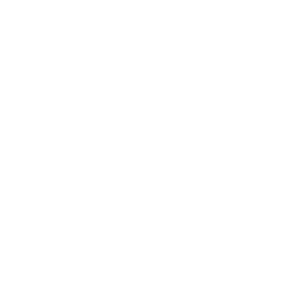 Animated heart